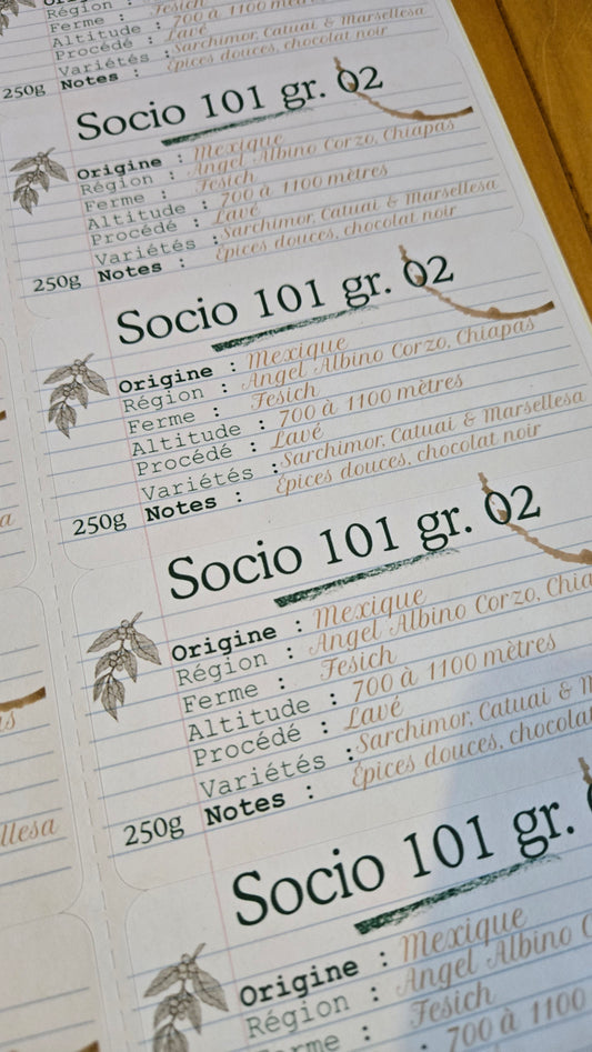Socio 101 gr.02