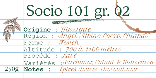 Socio 101 gr.02